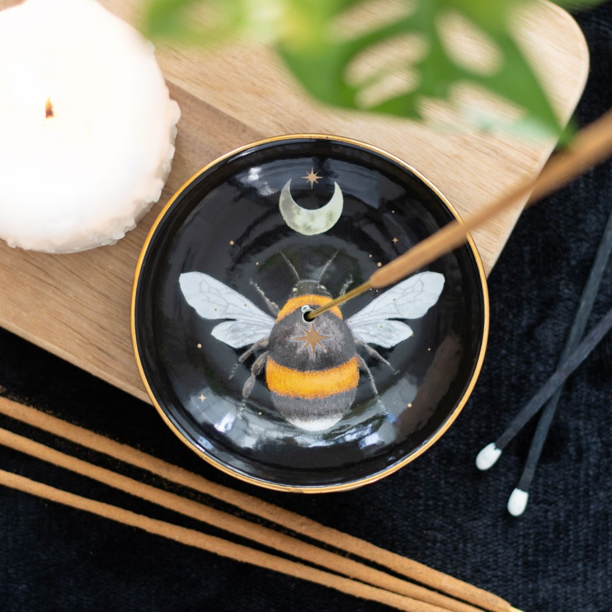 Queimador Forest Bee