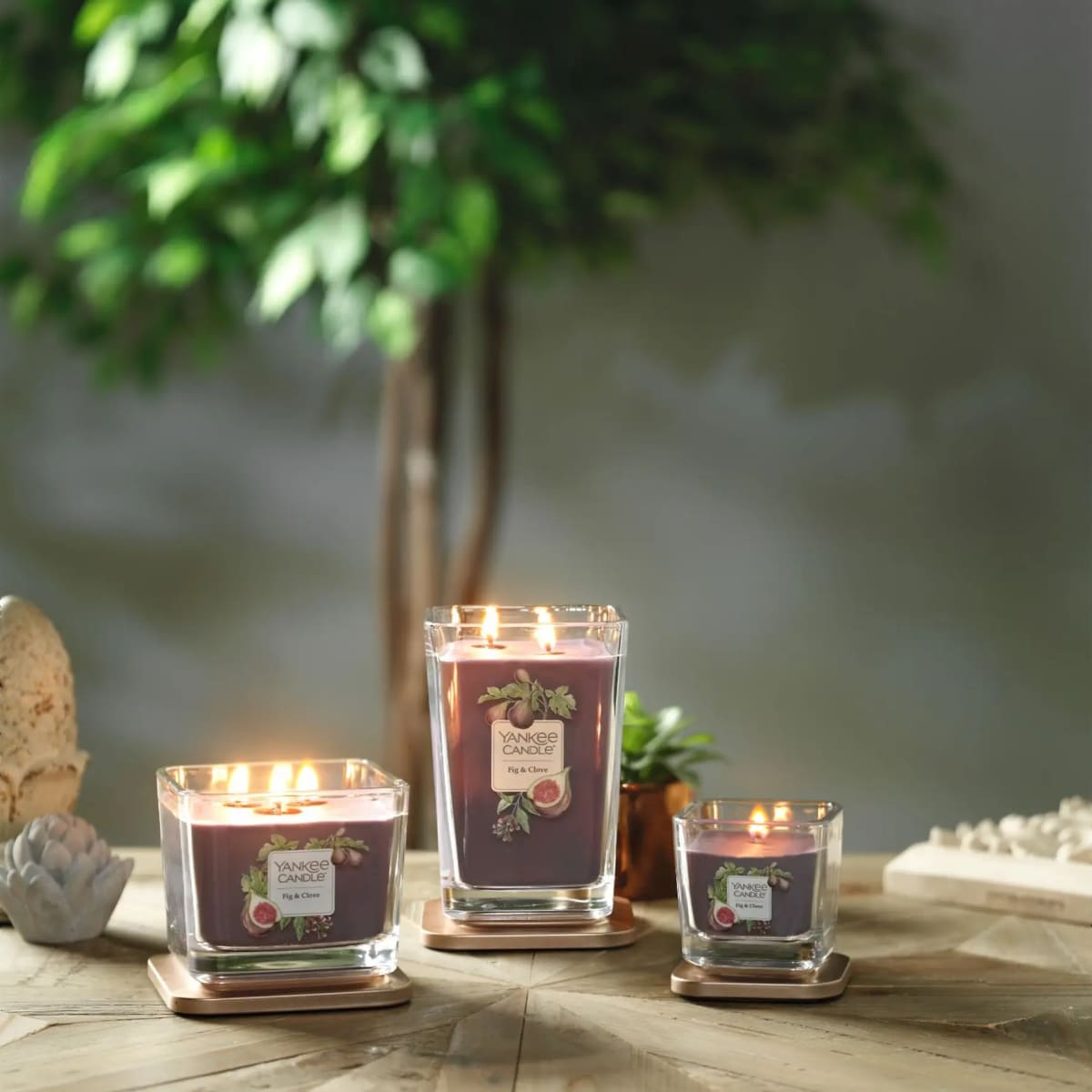 Vela Fig & Clove Elevation Yankee Candle