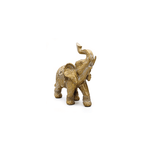Elefante Dourado Pequeno