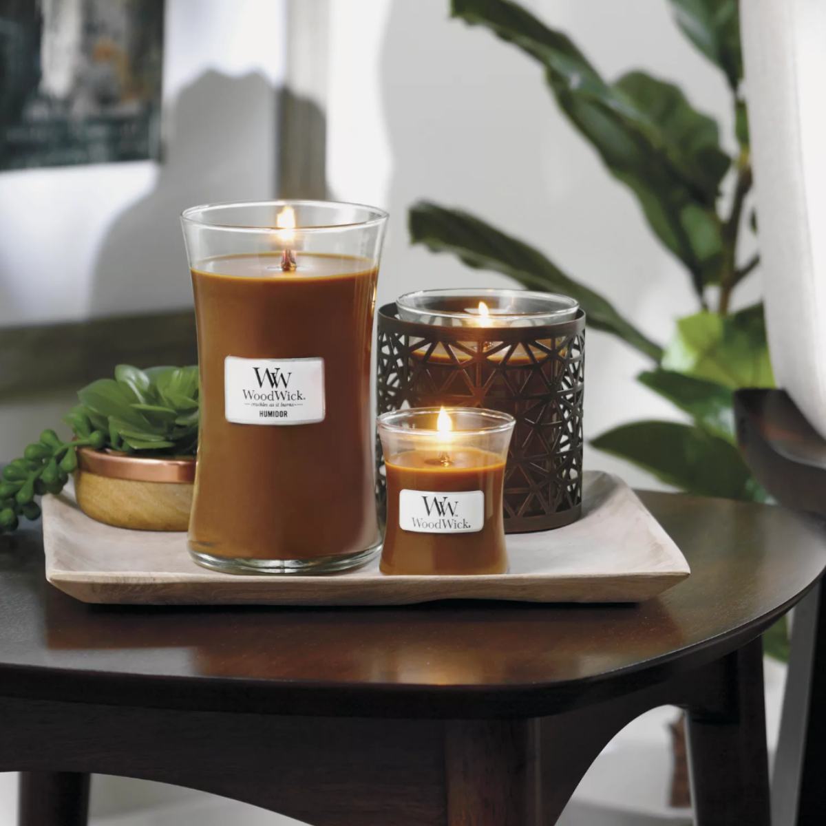 Vela Humidor WoodWick