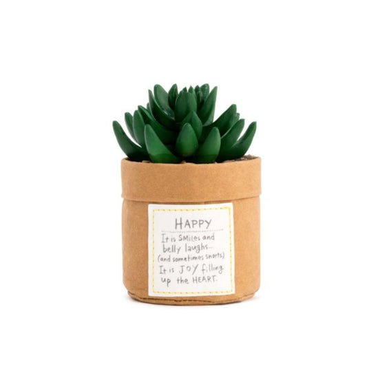 Planta Kindness - Happy Demdaco