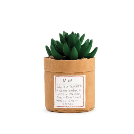 Planta Kindness - Mum Demdaco