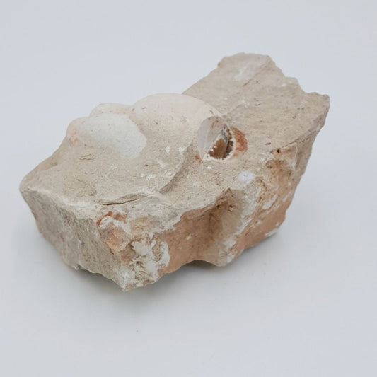 Piedra Bruta/Mineral Opalo Menilita 100g