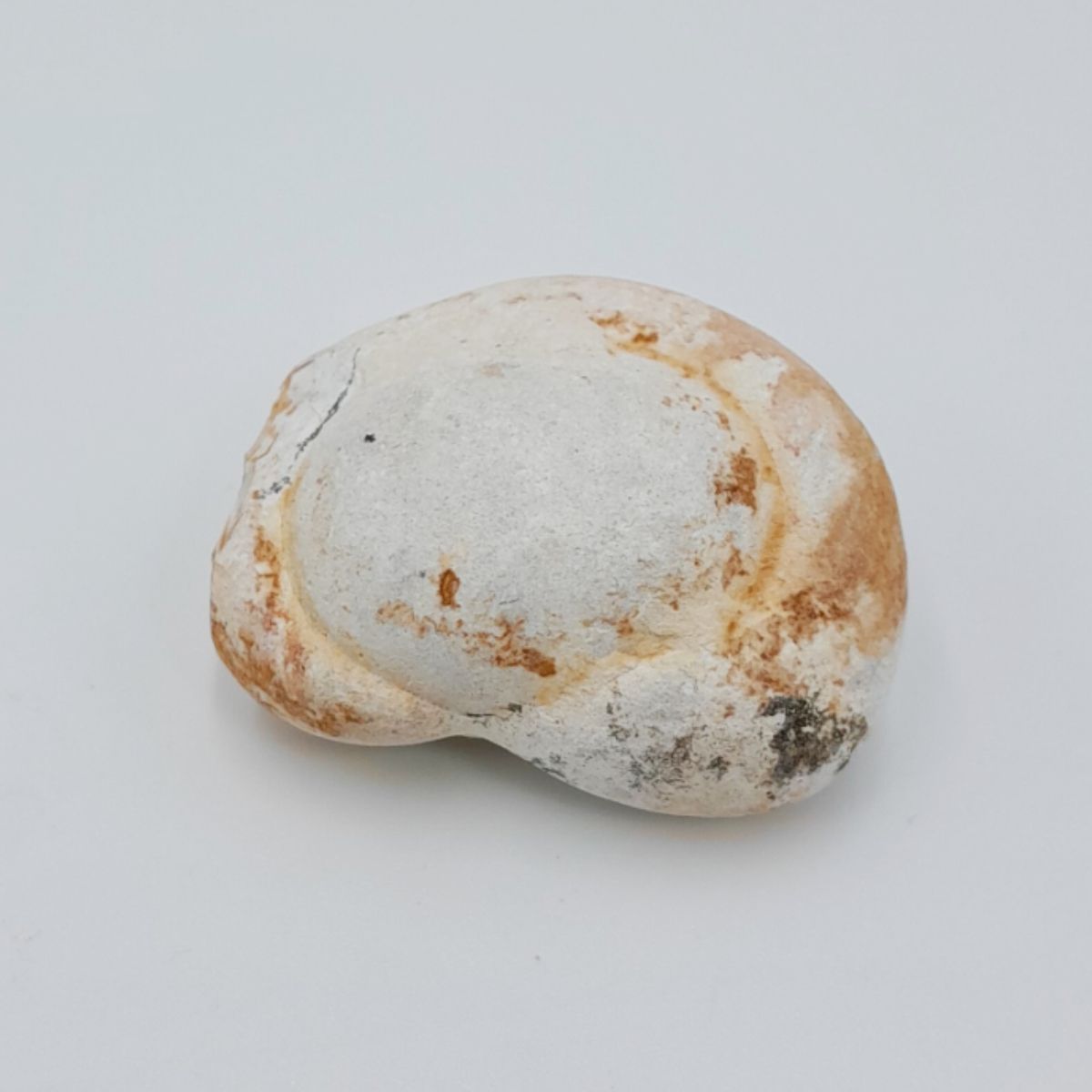 Pedra Mineral Bruta Opala Menilite 100g