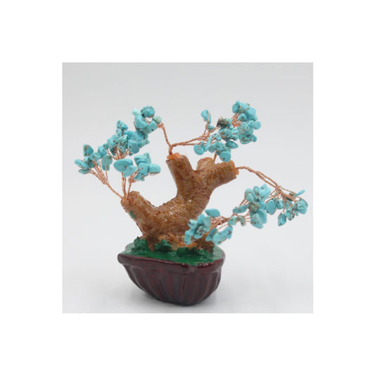 Bonsai Turquesa