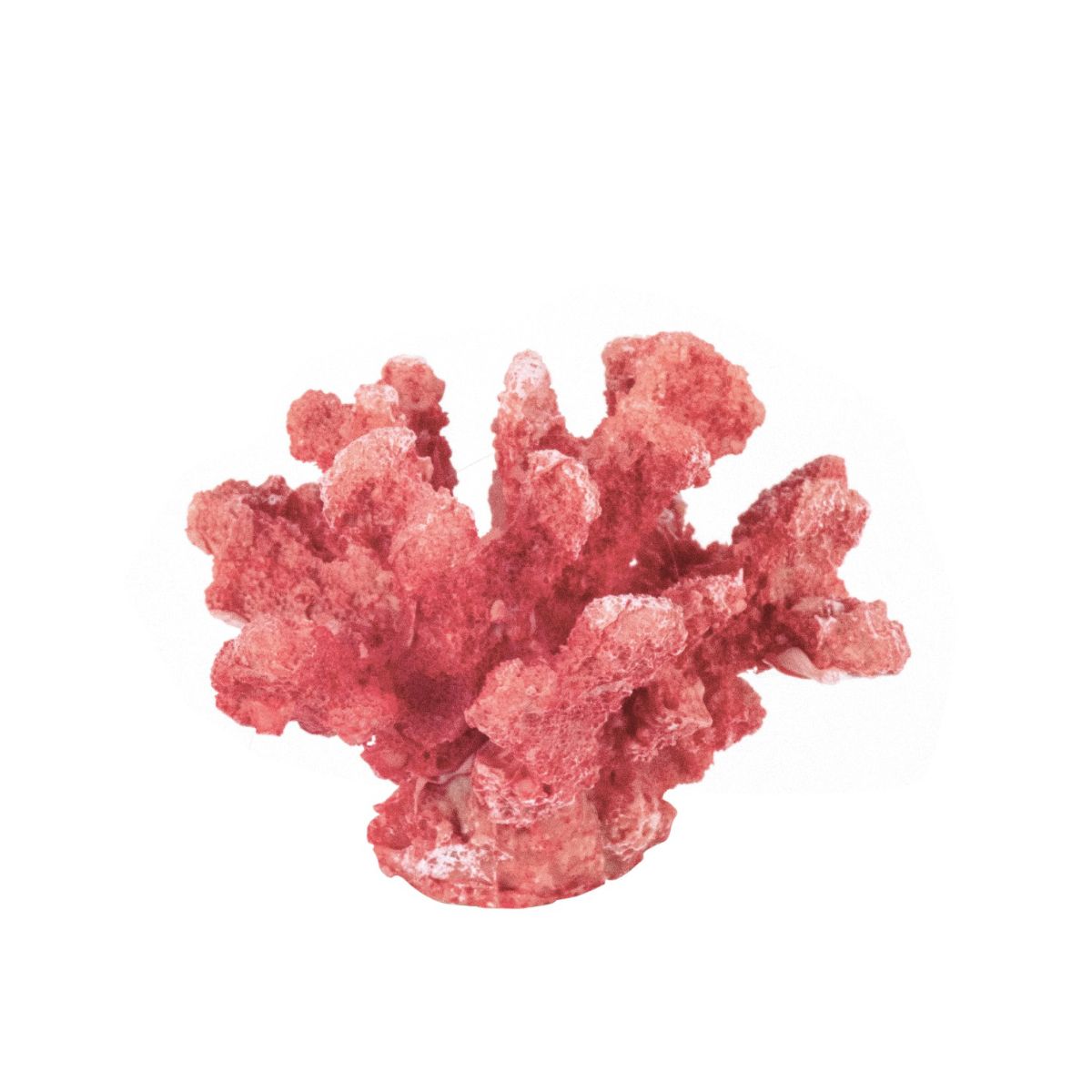 Coral 13cm