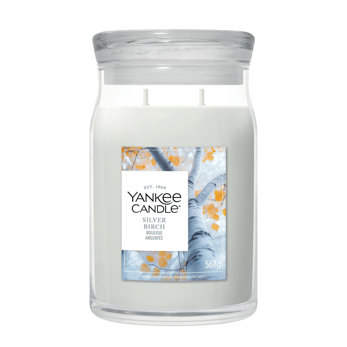 Vela Silver Birch Yankee Candle