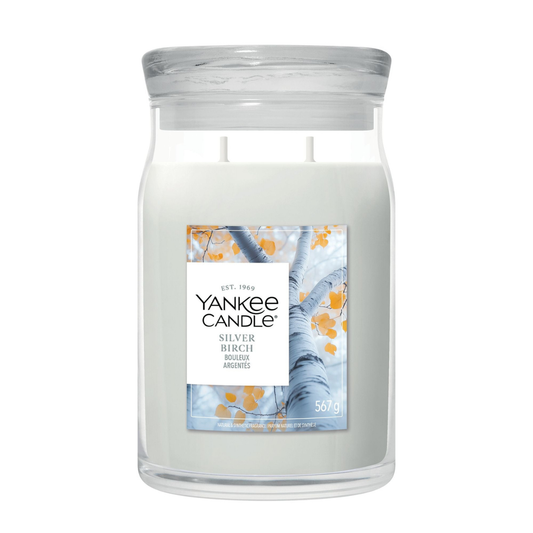 Vela Silver Birch Yankee Candle