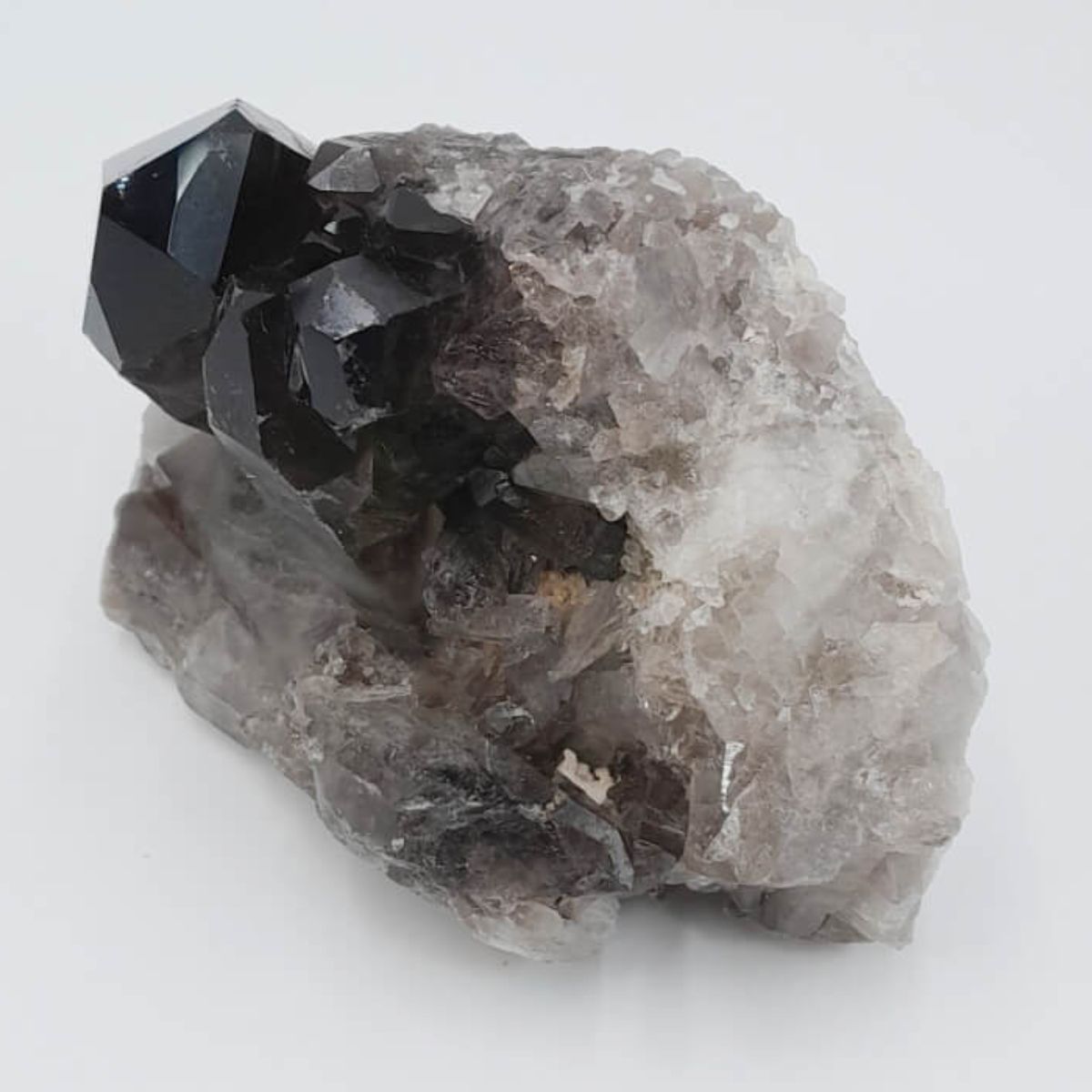 Pedra Mineral Drusa Quartzo Fumado 400-700g