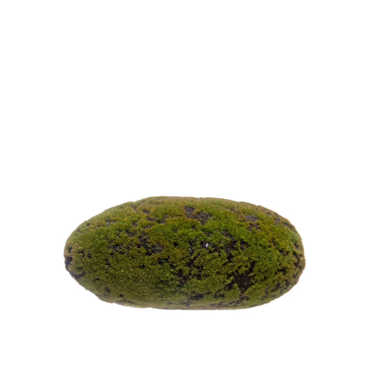 Pedra com Musgo