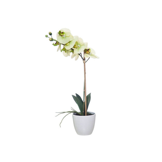 Orquídea com Vaso