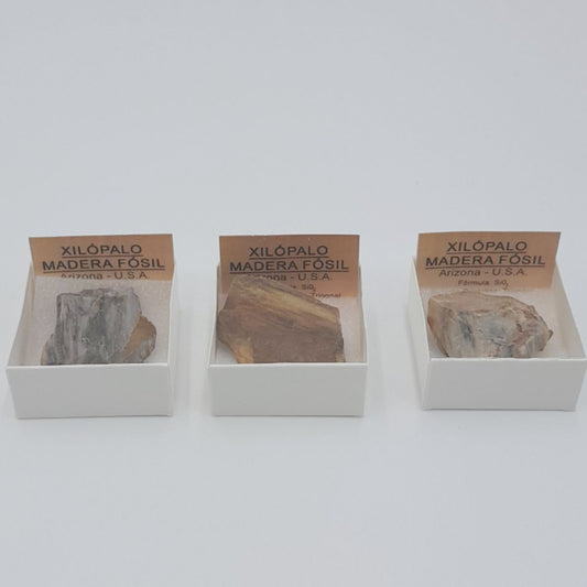 Piedra/Mineral Xilópalo