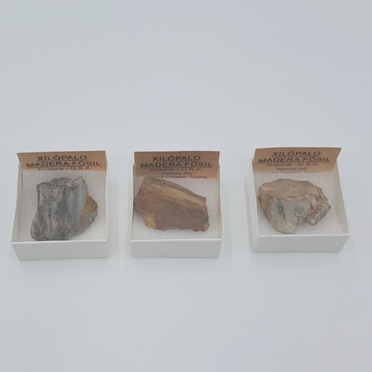 Piedra/Mineral Xilópalo