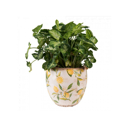 Jarrón de cara de plata