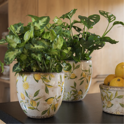 Jarrón de cara de plata