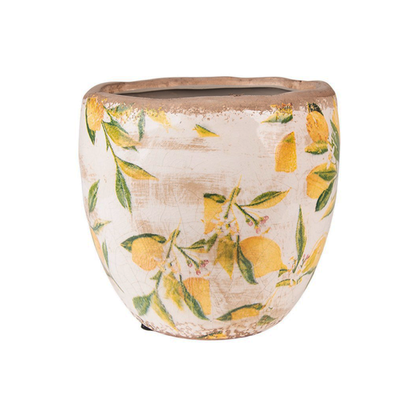 Jarrón de cara de plata