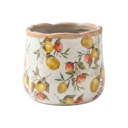 Vaso Limões e Morangos Clayre & Eef