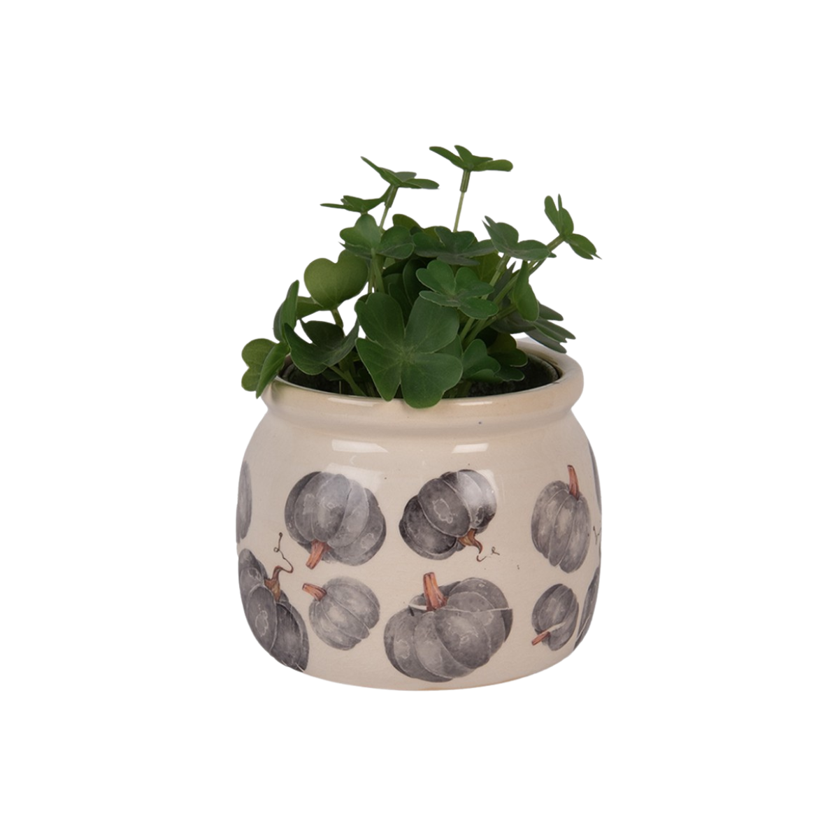 Vaso Abóboras Clayre & Eef
