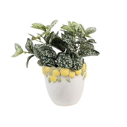 Jarrón de cara de plata