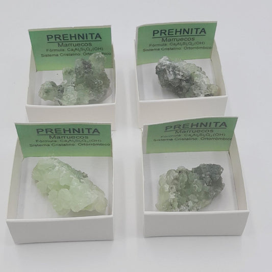 Stone/Mineral Prehnite