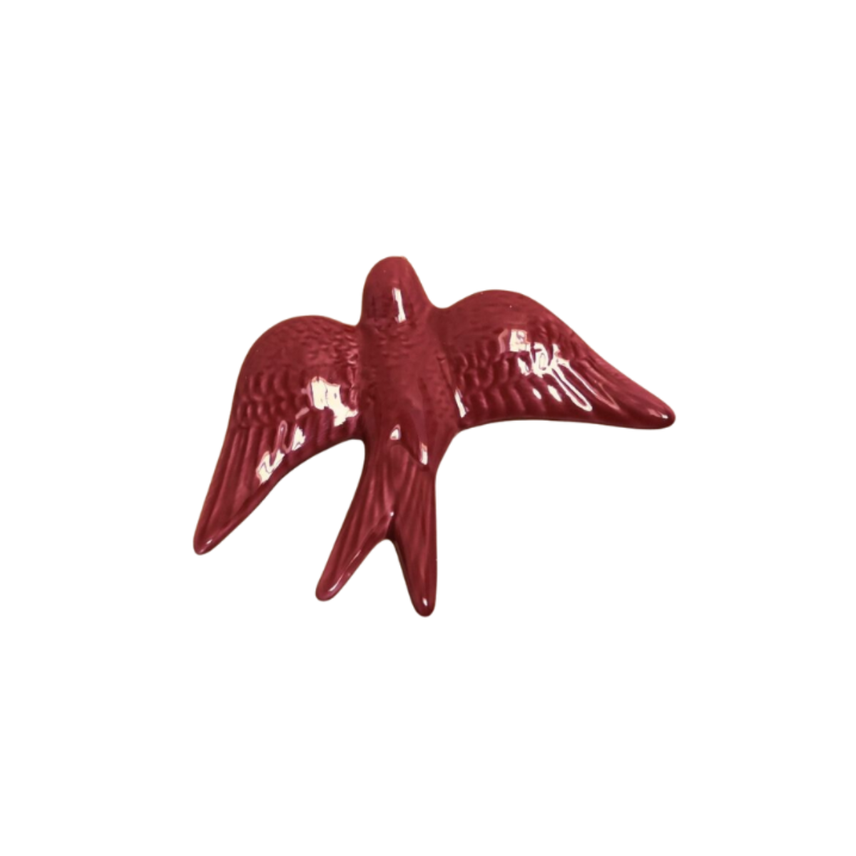 Andorinha Grande Mimoso