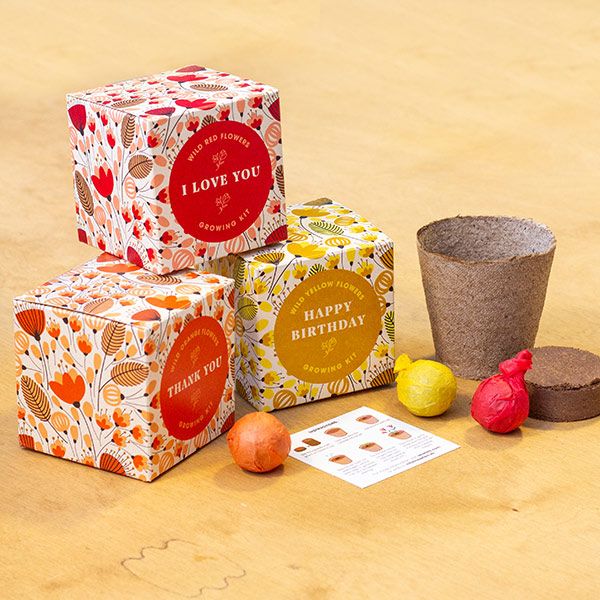 Kit Cultivo Diga com Flores (I Love You) Resetea