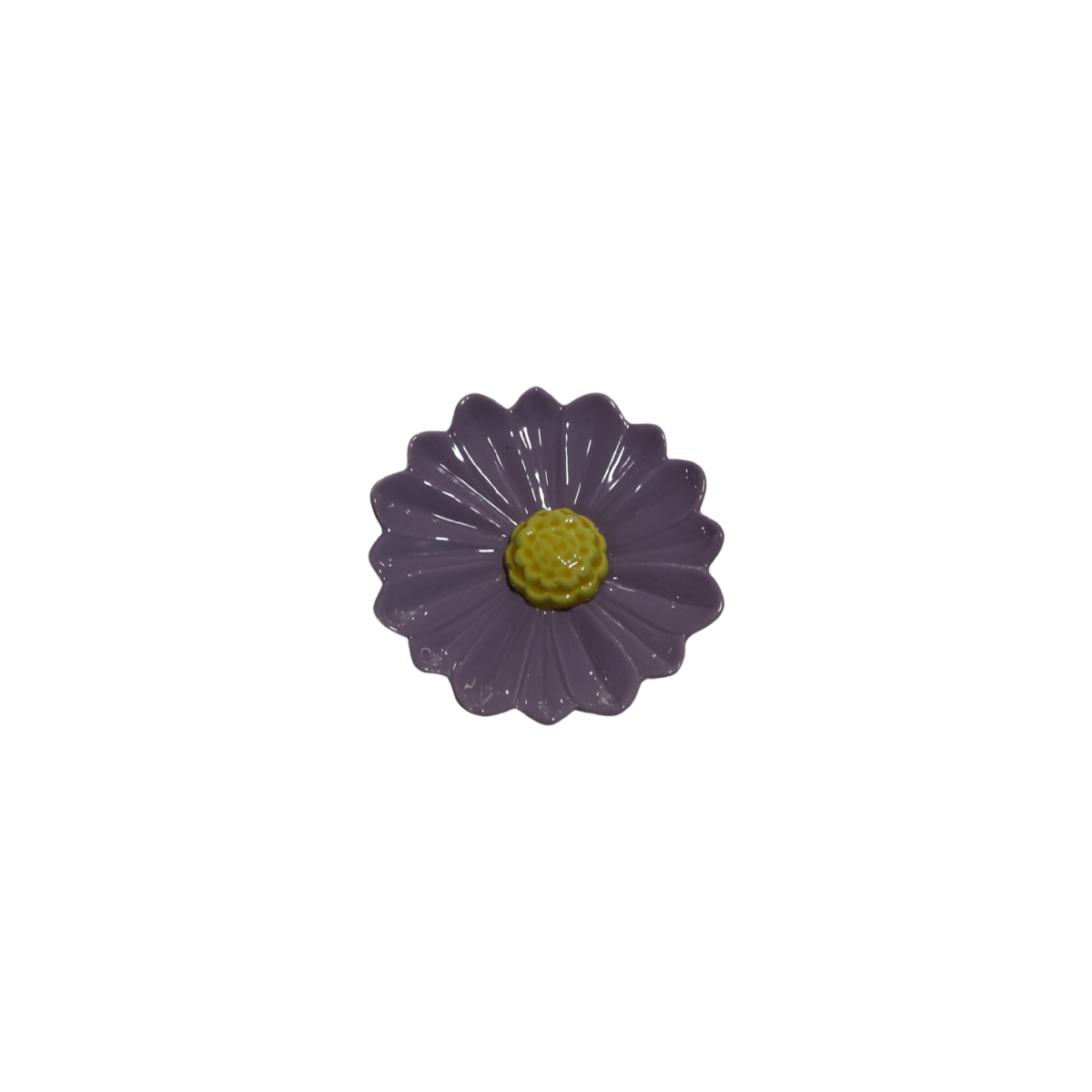 Flor Gerbera Mimoso