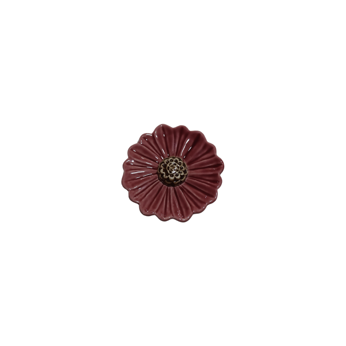 Flor Gerbera Mimoso
