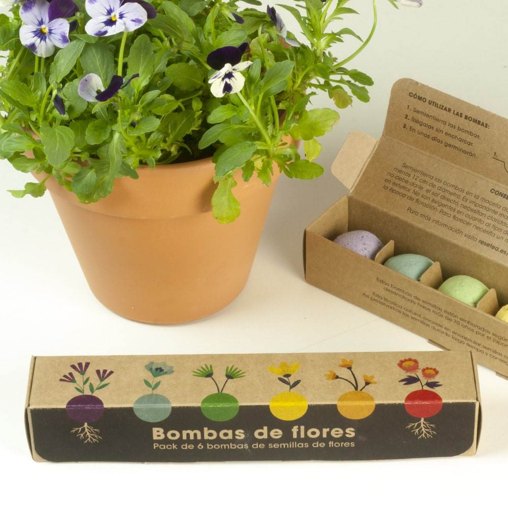 Pack 6 Bombas Flores Resetea