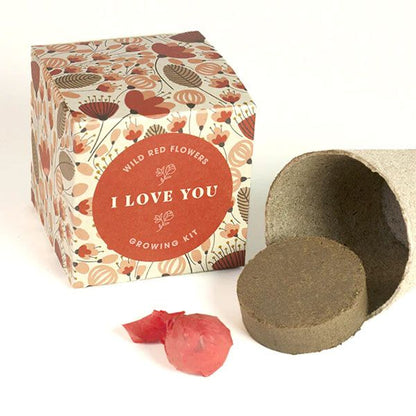 Kit Cultivo Diga com Flores (I Love You) Resetea