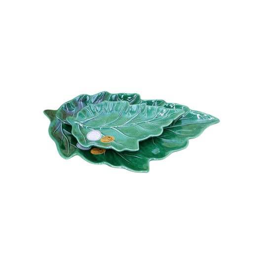 Travessa Folha Pequena Mimoso