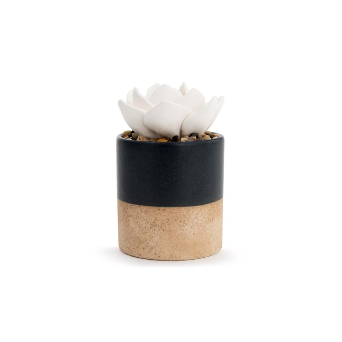 demdaco succulent oil diffuser Navy Demdaco Succulent Diffuser – Magia do Lar