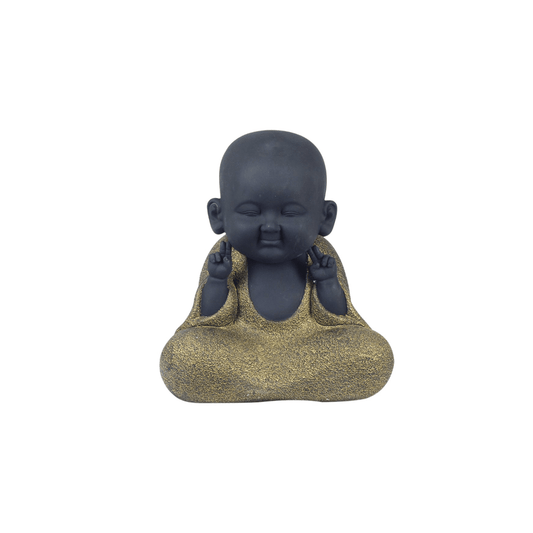 Buda Meditar