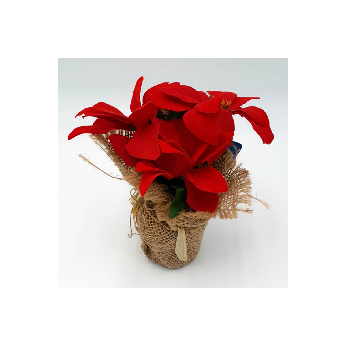 Vaso Poinsettia